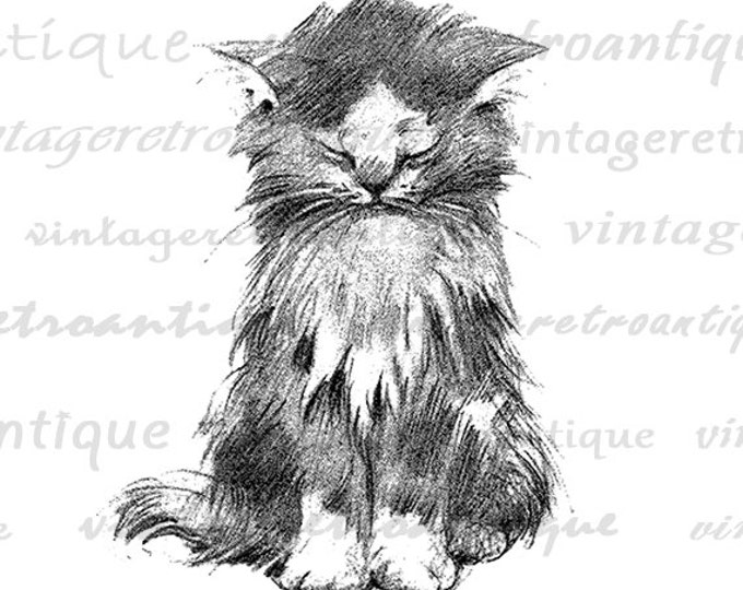 Digital Image Cute Kitten Art Cat Artwork Download Antique Cat Graphic Illustration Printable Vintage Clip Art Jpg Png Eps HQ 300dpi No.1764