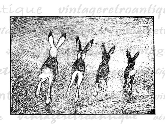 Rabbits Image Digital Bunny Graphic Easter Spring Cute Animal Art Download Bunny Printable Vintage Clip Art Jpg Png Eps HQ 300dpi No.1125