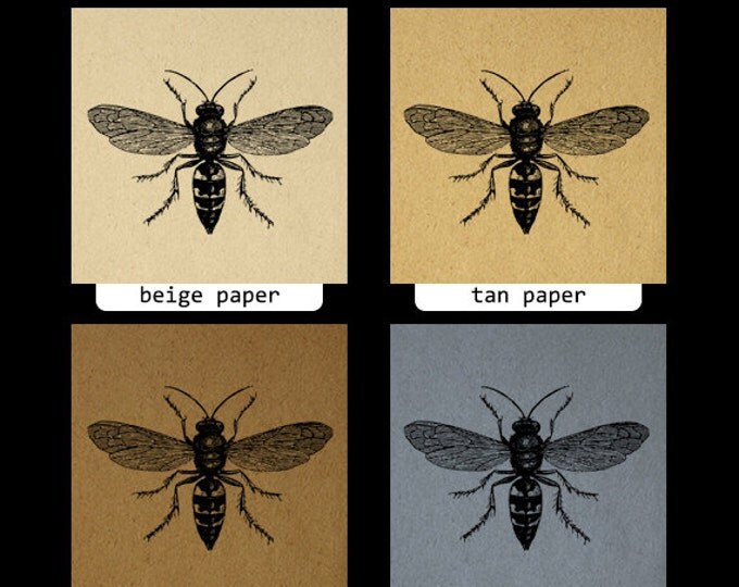 Printable Digital Wasp Bee Graphic Illustration Image Download Antique Clip Art Jpg Png Eps HQ 300dpi No.3450