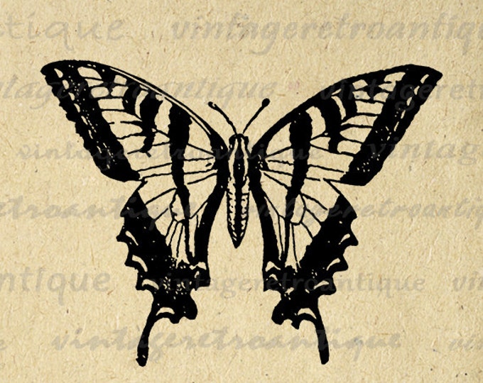 Vintage Butterfly Digital Image Graphic Insect Download Printable Antique Clip Art for Transfers Making Prints etc HQ 300dpi No.4107