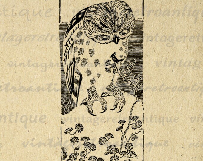 Printable Image Owl and Little Bird Download Illustration Graphic Digital Vintage Clip Art Jpg Png Eps HQ 300dpi No.1709