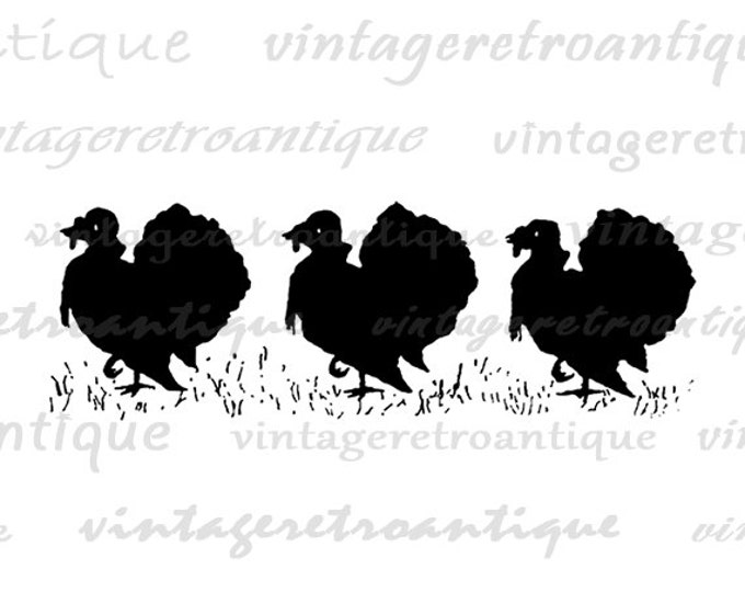 Digital Image Three Turkey Silhouettes Graphic Thanksgiving Printable Download Vintage Clip Art Jpg Png Eps HQ 300dpi No.3266