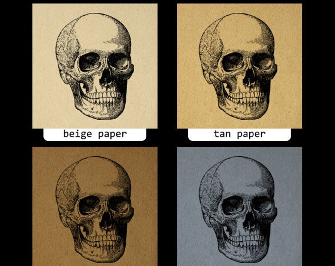 Printable Digital Skull Download Illustration Graphic Image Vintage Clip Art Jpg Png Eps HQ 300dpi No.3169