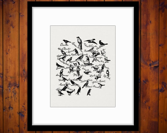 Songbirds Printable Graphic Digital Song Bird with Names Download Image Vintage Clip Art Jpg Png Eps HQ 300dpi No.1003