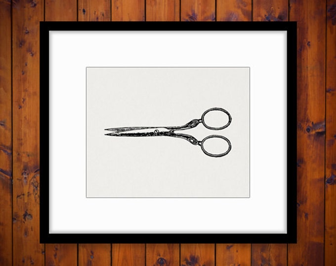 Digital Printable Scissors Graphic Shears Barber Download Illustration Image Antique Clip Art Jpg Png Eps HQ 300dpi No.1487