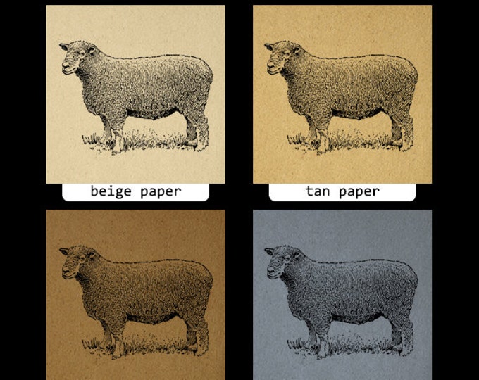 Ryeland Ram Sheep Printable Image Digital Illustration Graphic Download Vintage Clip Art Jpg Png Eps HQ 300dpi No.3260