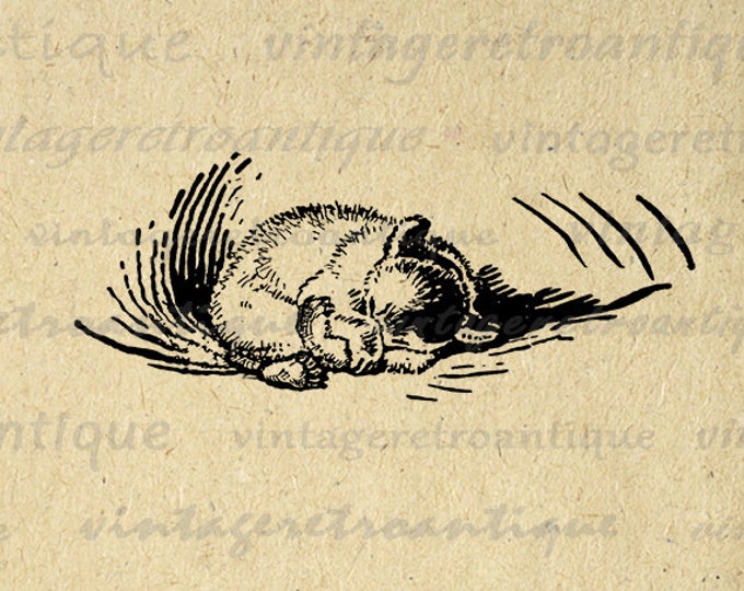 Printable Hibernating Bear Digital Image Illustration Download Graphic Vintage Clip Art Jpg Png Eps HQ 300dpi No.895