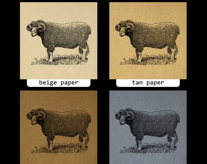 Dorset Ram Graphic Digital Download Illustration Sheep Image Printable Vintage Clip Art Jpg Png Eps HQ 300dpi No.3410