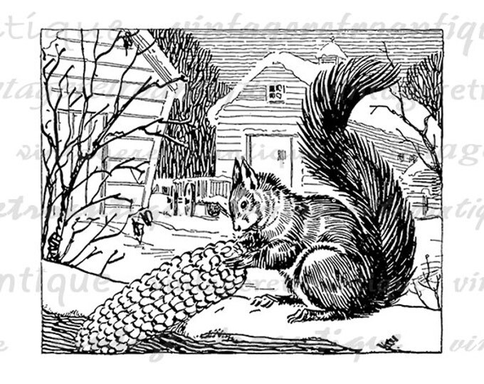 Digital Image Squirrel with Corn Cob Graphic Illustration Download Printable Vintage Clip Art Jpg Png Eps HQ 300dpi No.3013