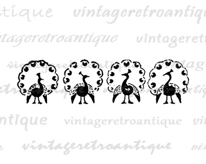 Printable Image Peacocks Graphic Birds Digital Download Antique Clip Art Jpg Png Eps HQ 300dpi No.826