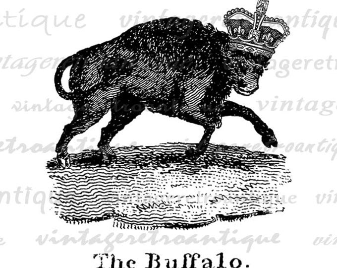 Buffalo with Crown Printable Graphic Image Illustration Digital Download Vintage Clip Art Jpg Png Eps HQ 300dpi No.1077