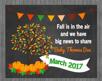 FLASH SALE Fall Pregnancy Announcement