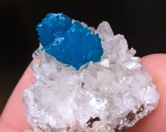 Top Quality 10g Vibrant Cavansite w/ Transparent Stilbite Crystal Specimen - Wagholi Mine, Maharashtra, India - Item:CV17011