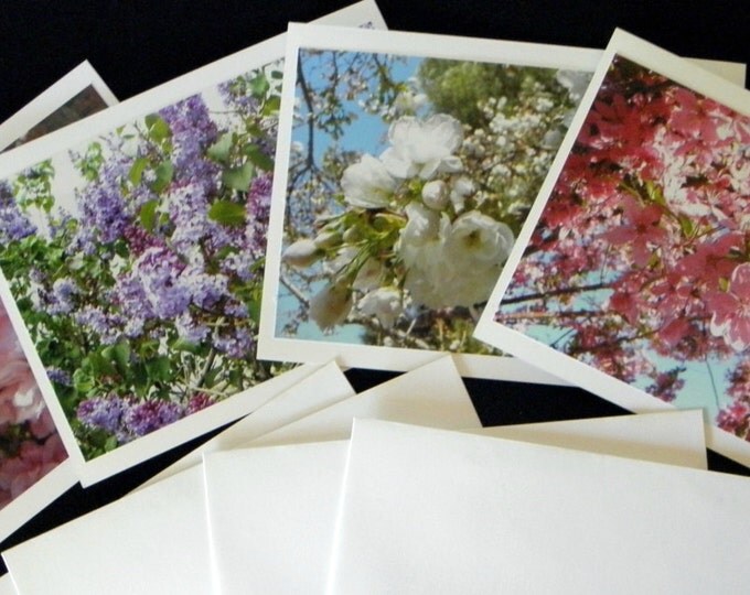 FLORAL Note Cards created by Pam of Pam's Fab Photos: This is a handcrafted 4-piece set featuring photos of blossoming spring trees