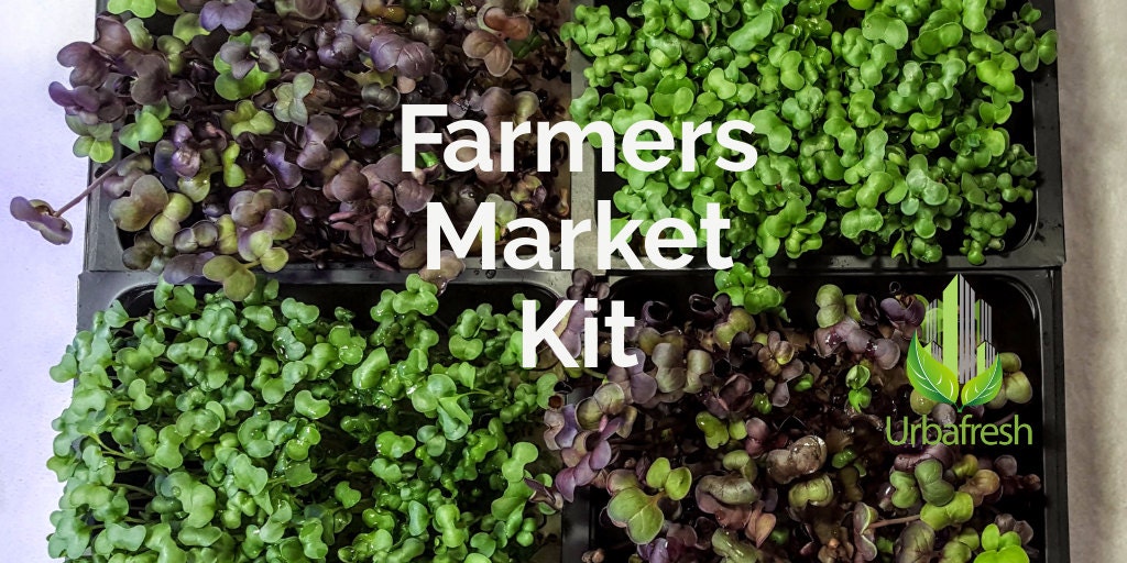 Farmers Market Microgreen Growing Starter Kit 16 crops of