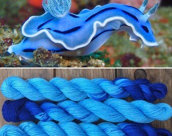 Chromodoris lochi 20g Mini Skein merino nylon blue nudibranch inspired sea slug sock yarn