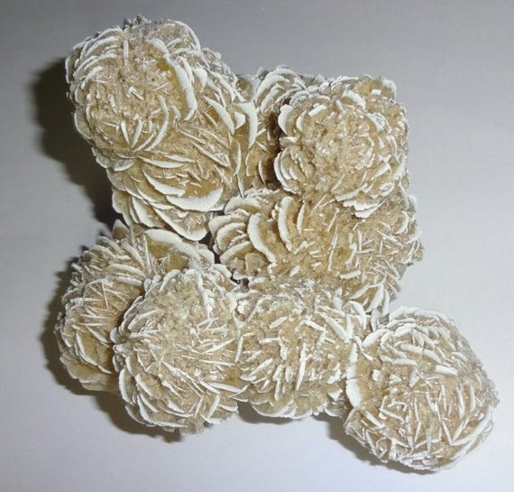 1pc 1 Natural Selenite Desert Rose Fossils Large Rough Raw