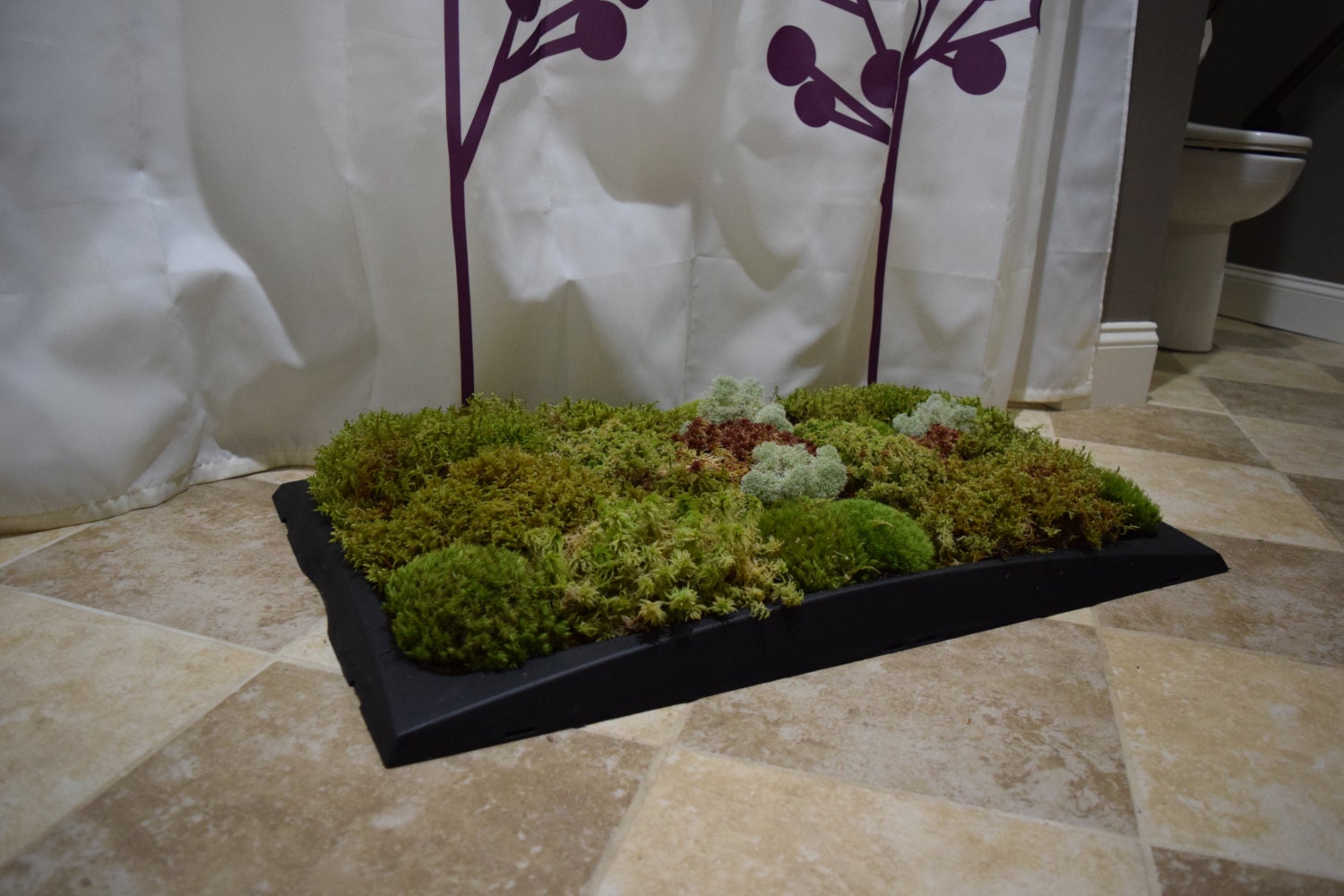 Moss Bath Mat kit Sphagnum Moss Black Tray Great Gift