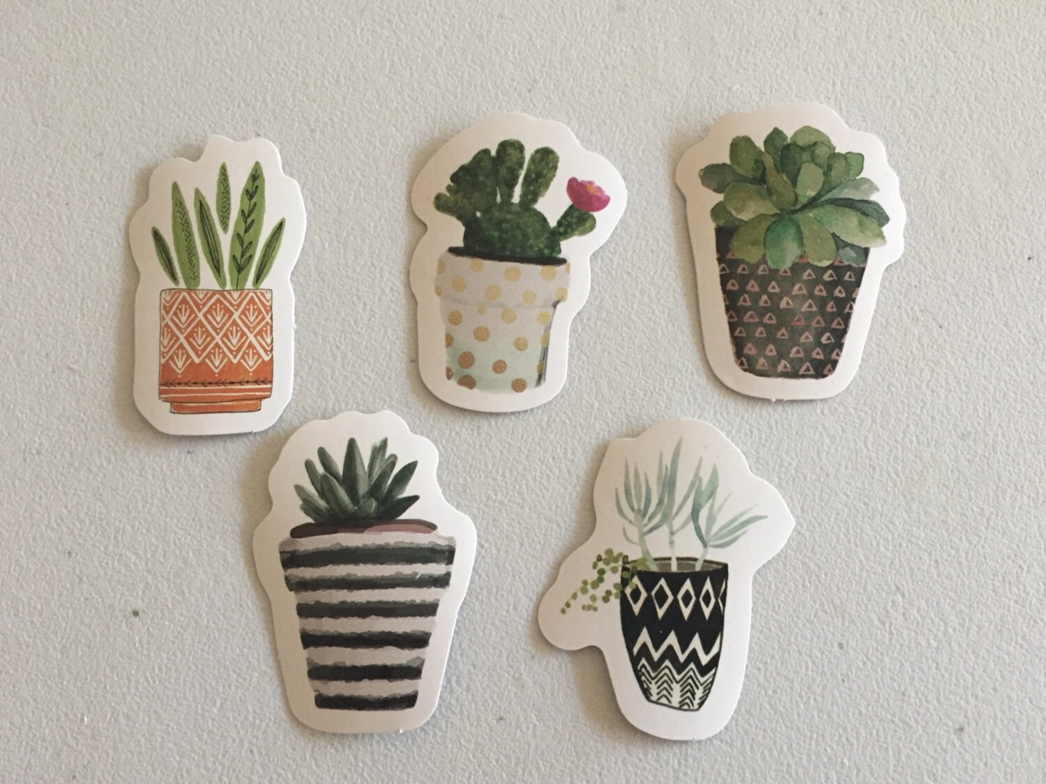 Cactus Stickers, Succulents Stickers, Cacti Plants Stickers, Botanical