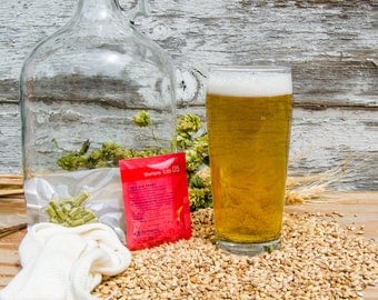 American Pale Ale Do It Yourself 1-gallon All Grain Recipe Kit