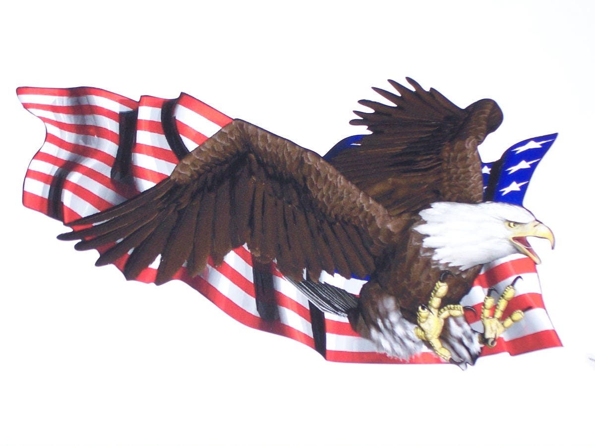 Eagle Over American Flag RV motorhome Wall Window Graphic