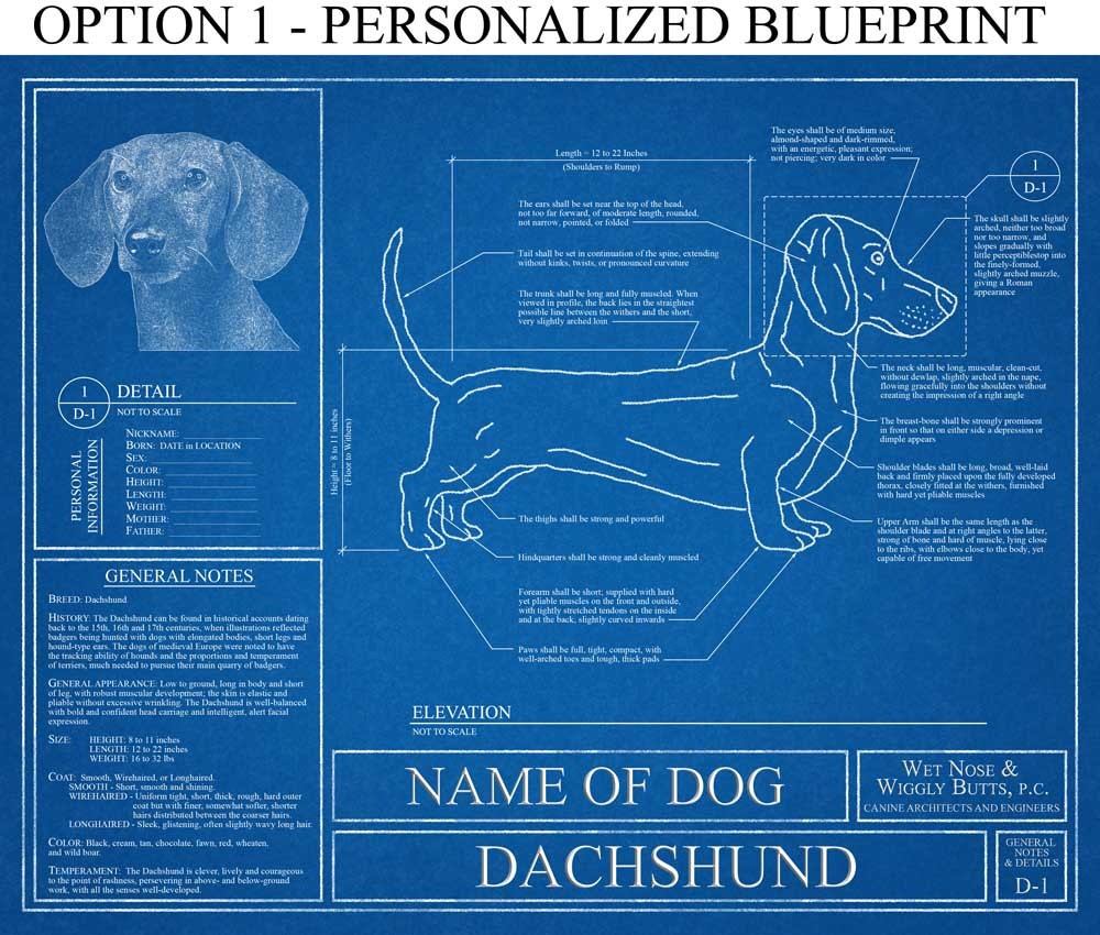 Blueprint Wall Art personalized dachshund blueprint / dachshund art / dachshund Blueprint Wall Art personalized dachshund blueprint / dachshund art / dachshund