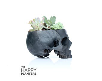 Skull Planter Black, Human Skull Vase, Office Planter, Desk Planter, Air plant Terrarium, Cactus Planter, Succulent Vase, Human Skull Bowl