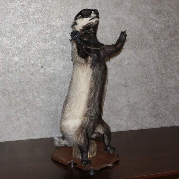 stuffed badger for sale