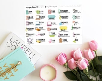 Spring Cleaning Planner Stickers | 30 Day Cleaning Challenge Stickers | 30 Stickers for ANY Planner