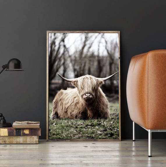 Highland Cow Print Highland Print HIghland Printable