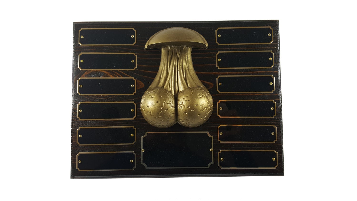 12 Year Fantasy League Loser Trophy