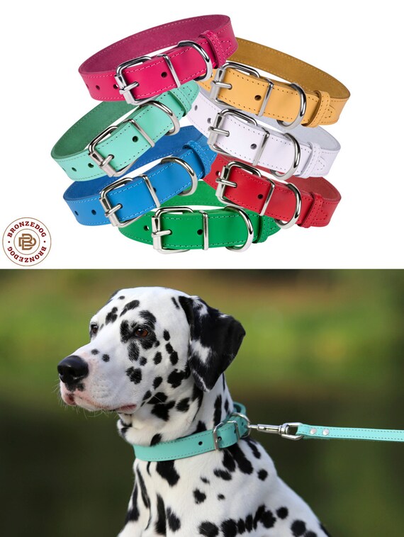 Leather Dog Collar Puppy Collar Girl Dog Collar Small Medium