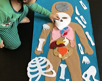 Educational Felt Human Anatomy/ "Parts of the Body"/ Human Anatomy Felt Set/Montessori Toy/Science Toy