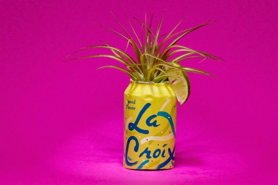 LEMON/LIME la croix / la croix planter