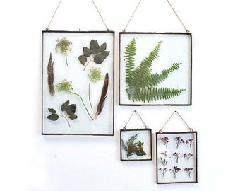 Clear glass frame, frame, rustic frame, picture frame, pressed flowers, pressed leaves, zinc frame, zinc house, zinc decor, 8 X 11
