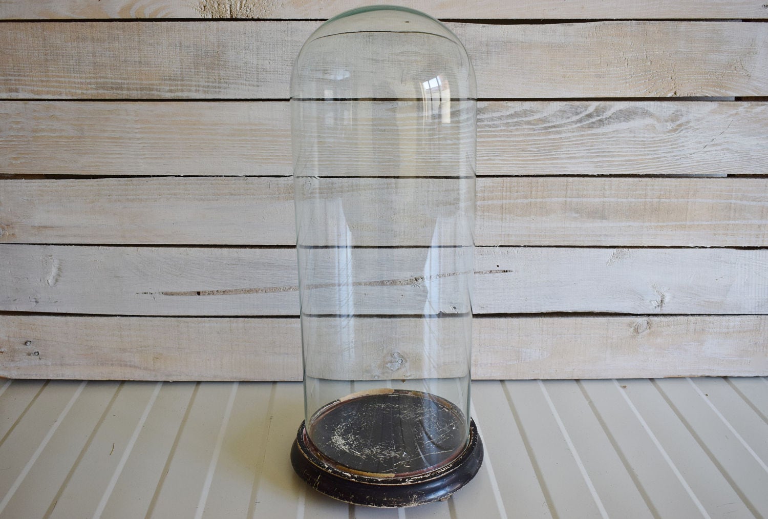 Antique Glass Dome Display With Base. Vintage Glass Cloche in