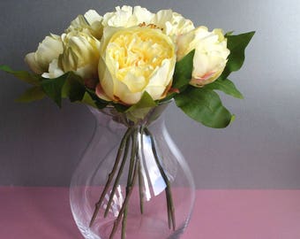 A Bloom of Yellow Peony Roses
