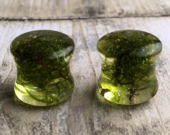 Real moss ear plugs-terrarium ear plugs-ear tunnel-real flower ear tunnel-real flower ear plugs-resin ear plugs-gift for him-gift for her