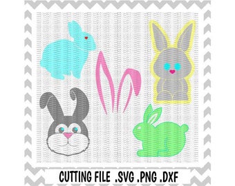 Download Easter Bunny Svg Easter Bunny with Glasses & Bow Tie