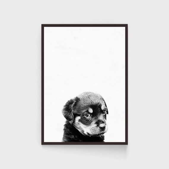 Dog Print Black And White Wall Art Puppy Print Nursery Wall