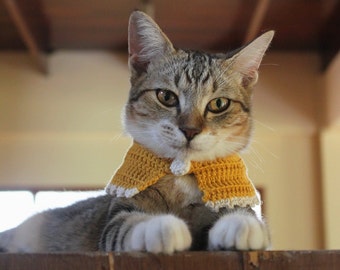 Crochet Peter Pan Cat Collar l Vintage Collor