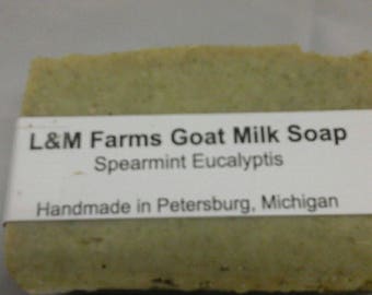 Spearmint eucalyptus goat milk soap