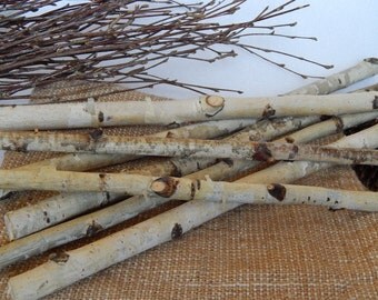 20 white birch sticks. Wood Logs. Wedding birch decor. White craft wood.Birch decor. Craft wood stick. White birch. Home decor birch
