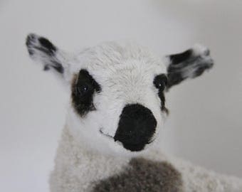 Beautiful Vintage White Lamb Taxidermy, Jeanne D'arc Living, Nordic Decor, White Sheep, Black and White Lamb