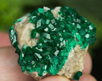 Top Grade Green Dioptase Specimen