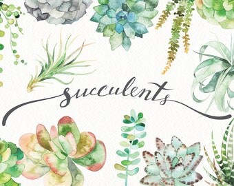 Watercolor succulent set (botanical, green, clipart, air plant, flower, vintage, wedding, card, logo, terrarium, print, floral, cactus, art)