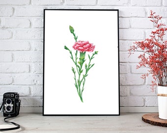 Carnation painting | Etsy