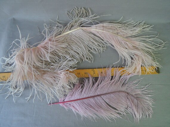 Large Vintage Millinery Feathers 13 28 inch Lavender