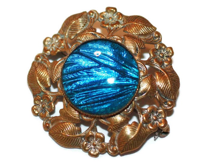 Morpho Butterfly Wing Brooch Brass Setting Floral Design Older