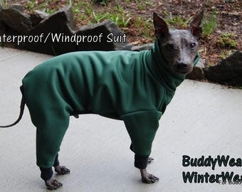 15", 15.5", 16" BuddyWear Rainproof- Windproof - WinterWear™ for Italian Greyhounds and all small dogs. OOAK - Same Day Shipping.